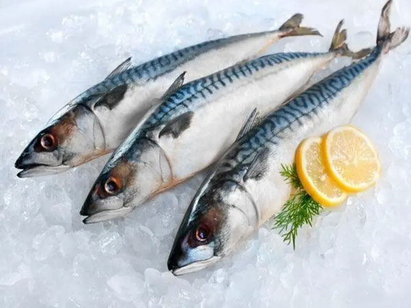 Фото Скумбрия с/м