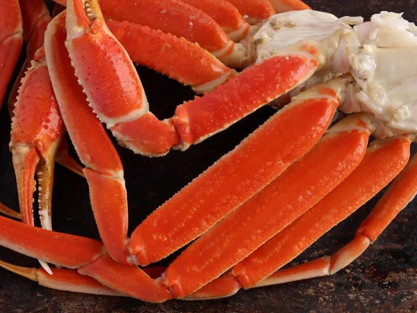 Фото Конечности Стригуна в хитине