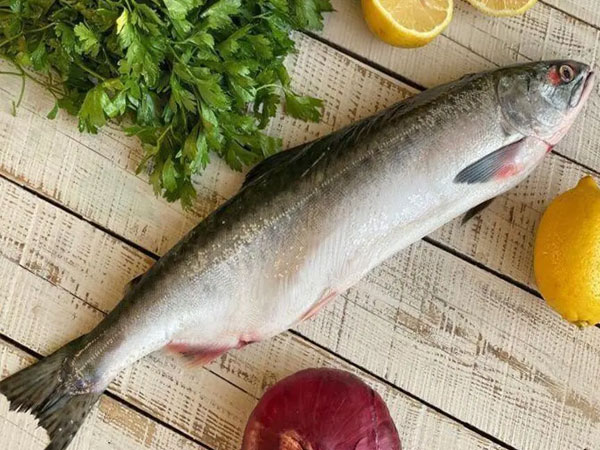 Фото Горбуша с/м