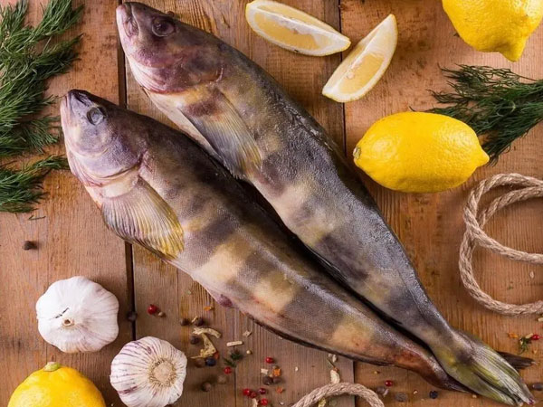 Фото Терпуг с/м