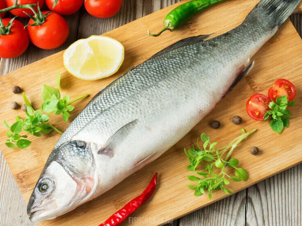 Фото Сибас с/м