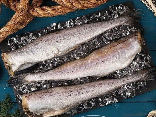 Фото Минтай с/м